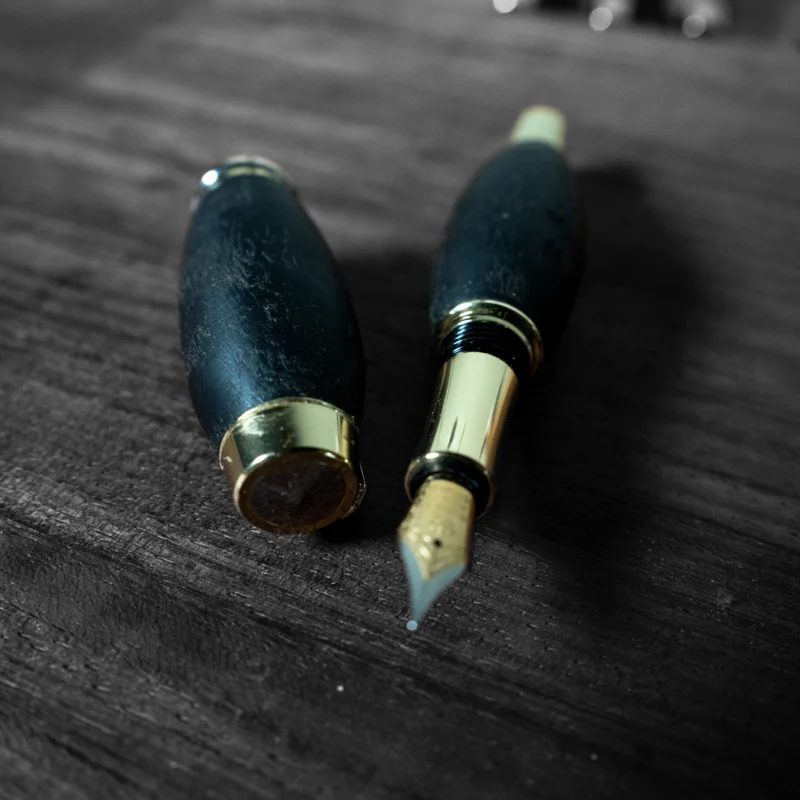 Luxury 2000y Old Bog Oak Wooden Fountain Pen | Bohemia | Handcrafted